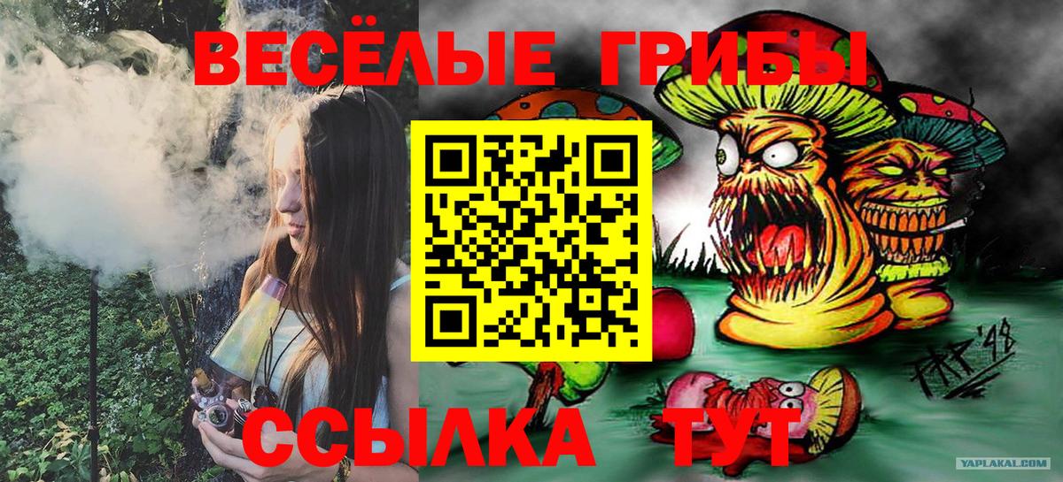 Псилоцибиновые грибы MAGIC MUSHROOMS  Вход с VPN  Галлюциногенные грибы Psilocybe  Вышний Волочёк 